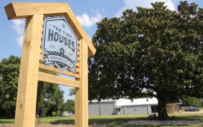 Interested in buying a tiny house? What you may want to know for starters: