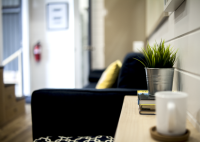 Interior plant focus